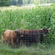 Elżbieta Wróblewska  (Szczypiorowska) - Safari Północy