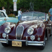 Maria Sal  - Antique Auto Show - 2008